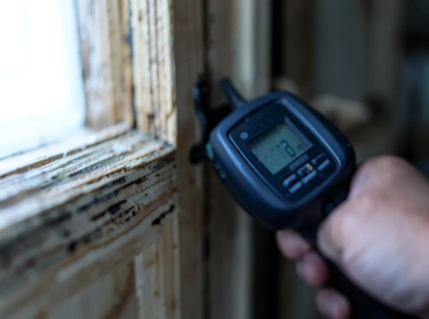 Moisture Inspection And Documentation in Salvisa, KY